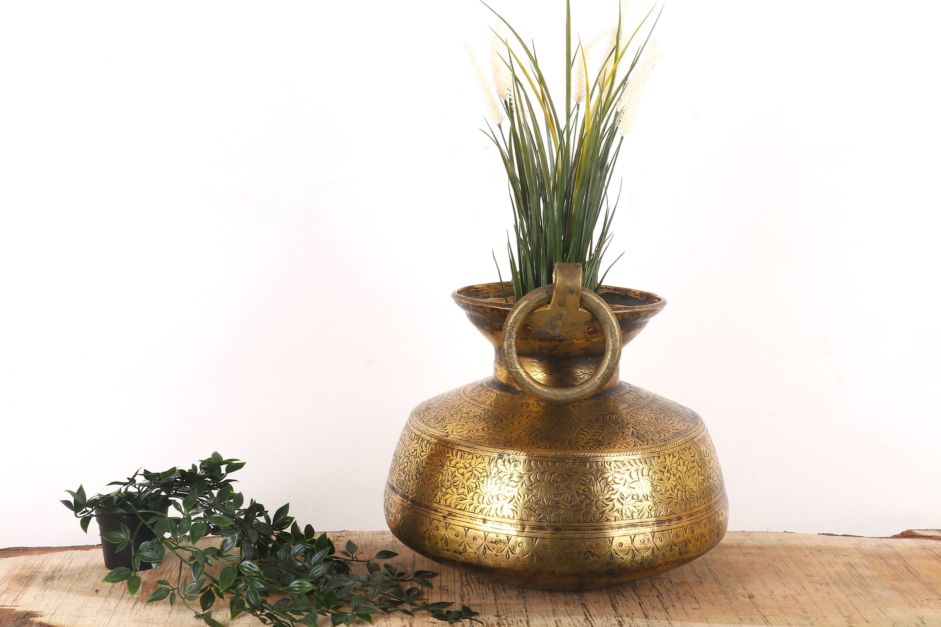 Brass vase with plant on a wooden surface and white background