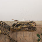 Brass Handcrafted Crocodile Skeletal Décor Accent