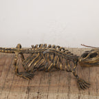 Brass Handcrafted Crocodile Skeletal Décor Accent