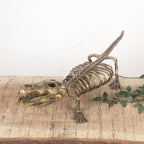 Brass Handcrafted Crocodile Skeletal Décor Accent