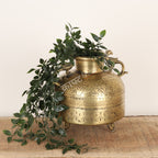 Decorative brass pot with plant on a wooden surface