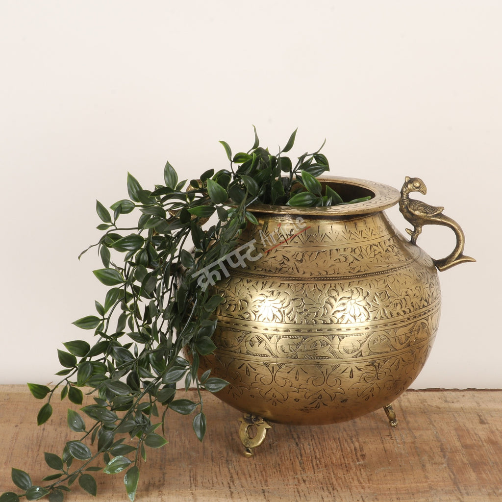 Decorative brass pot with plant on a wooden surface