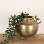 Decorative brass pot with plant on a wooden surface