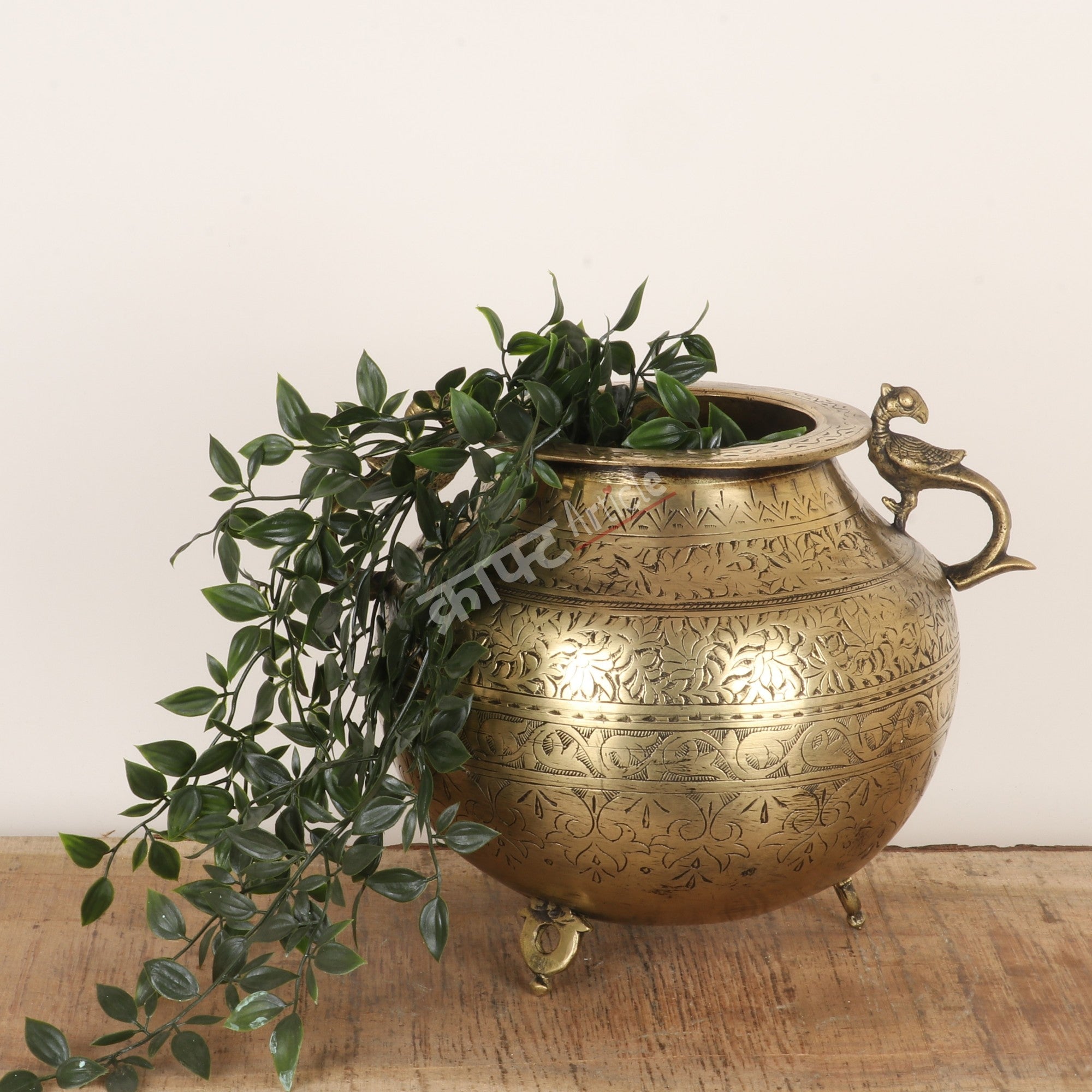 Decorative brass pot with plant on a wooden surface