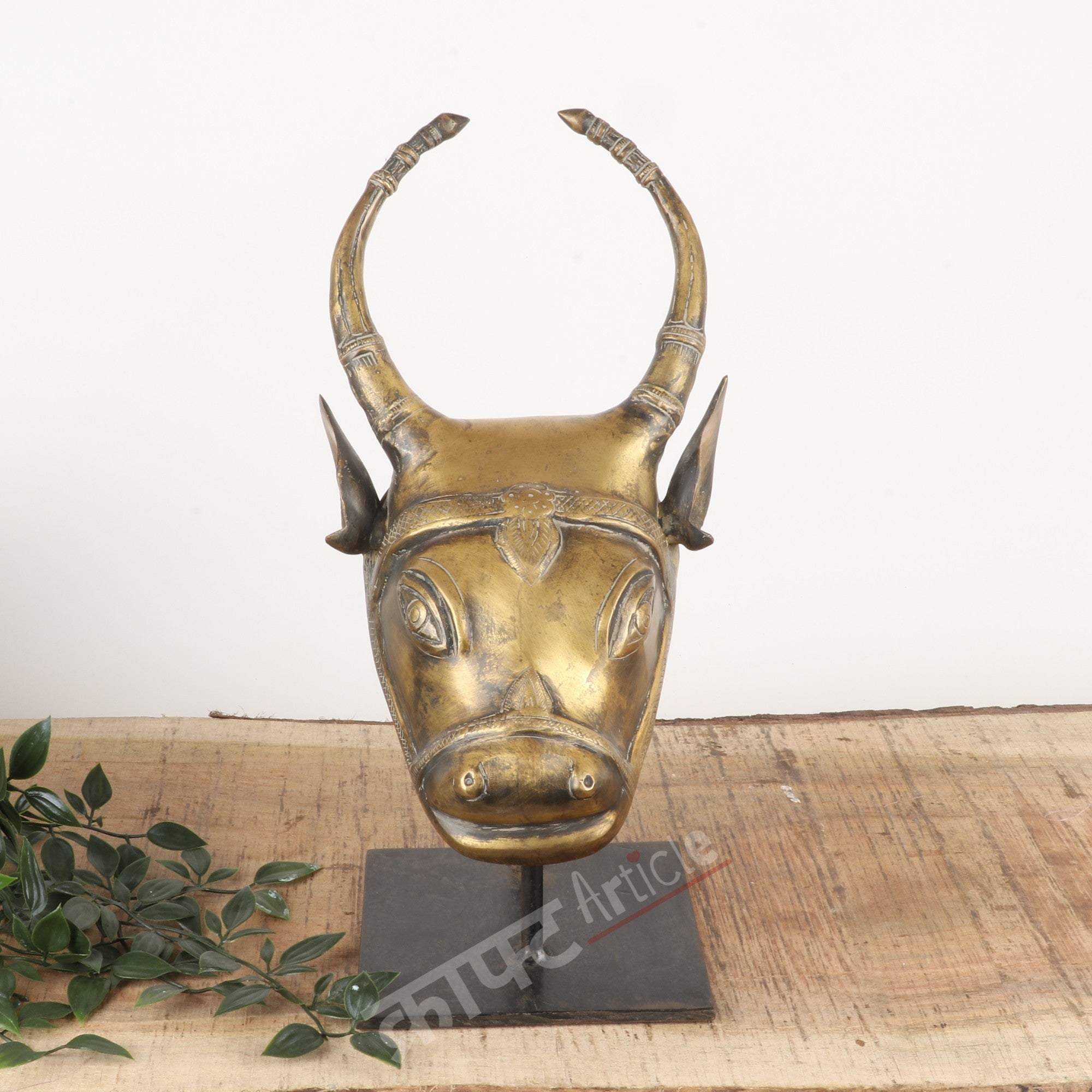 Brass Bull Head Wall Accents