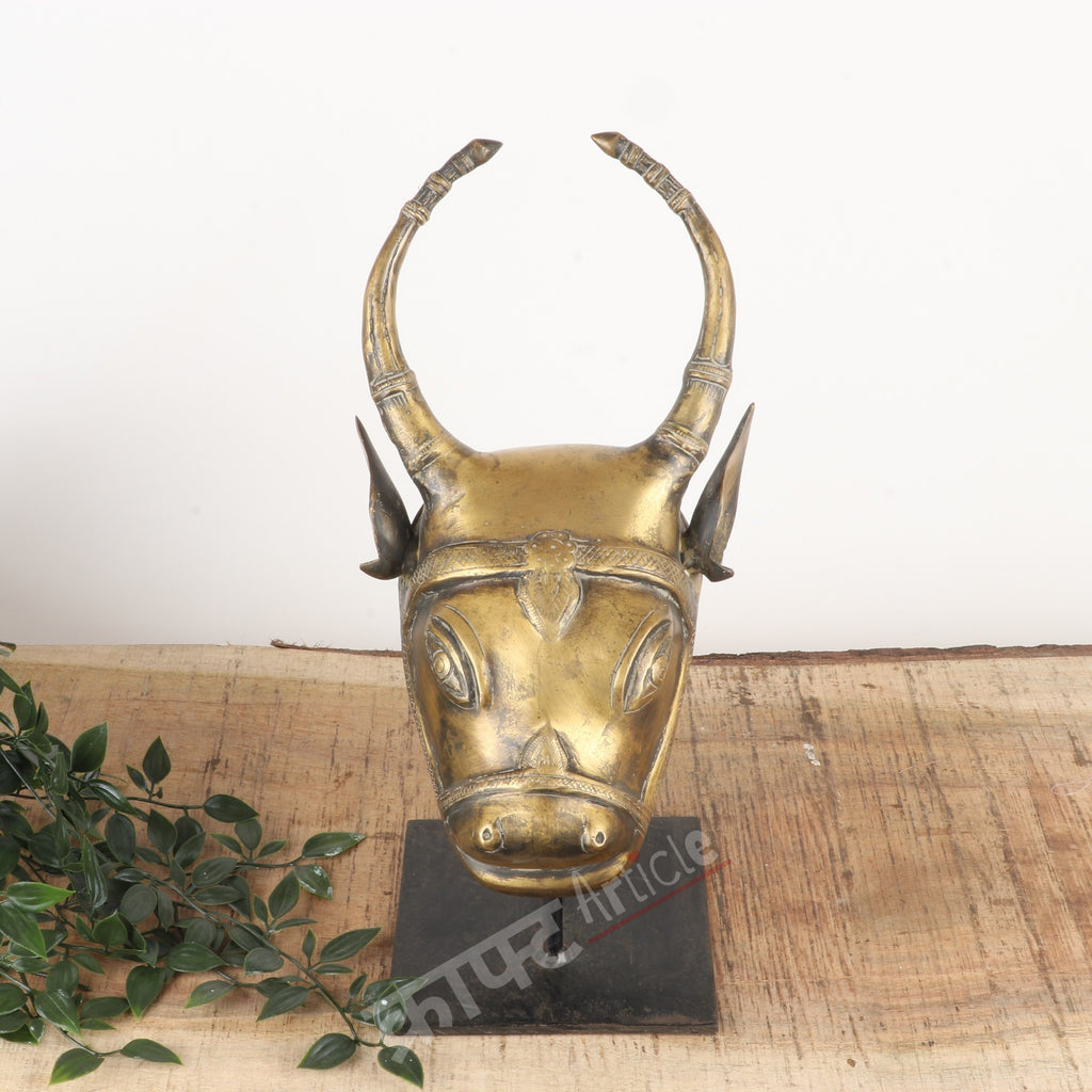 Brass Bull Head Wall Accents