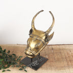 Brass Bull Head Wall Accents