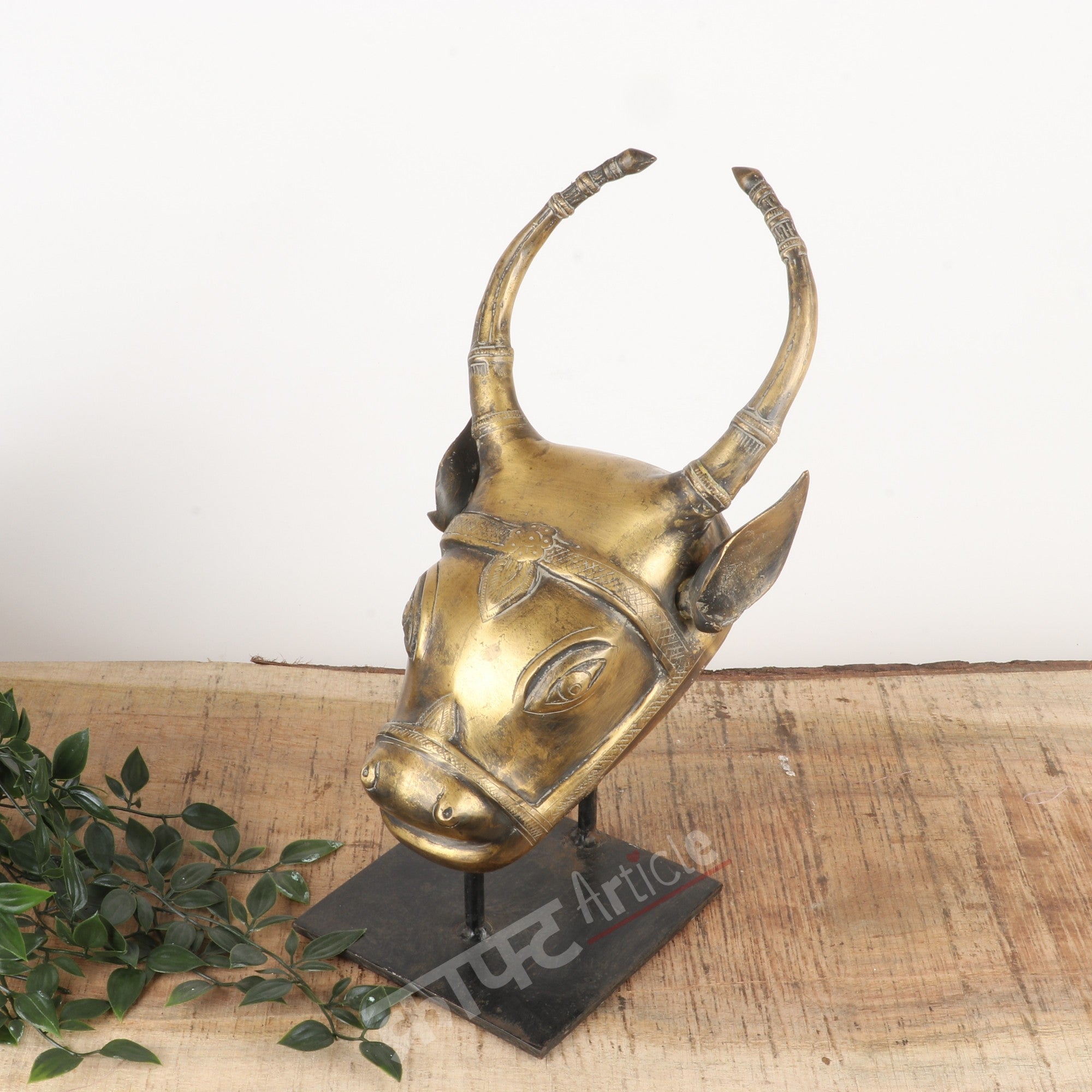 Brass Bull Head Wall Accents