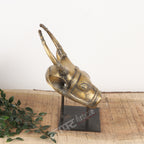 Brass Bull Head Wall Accents