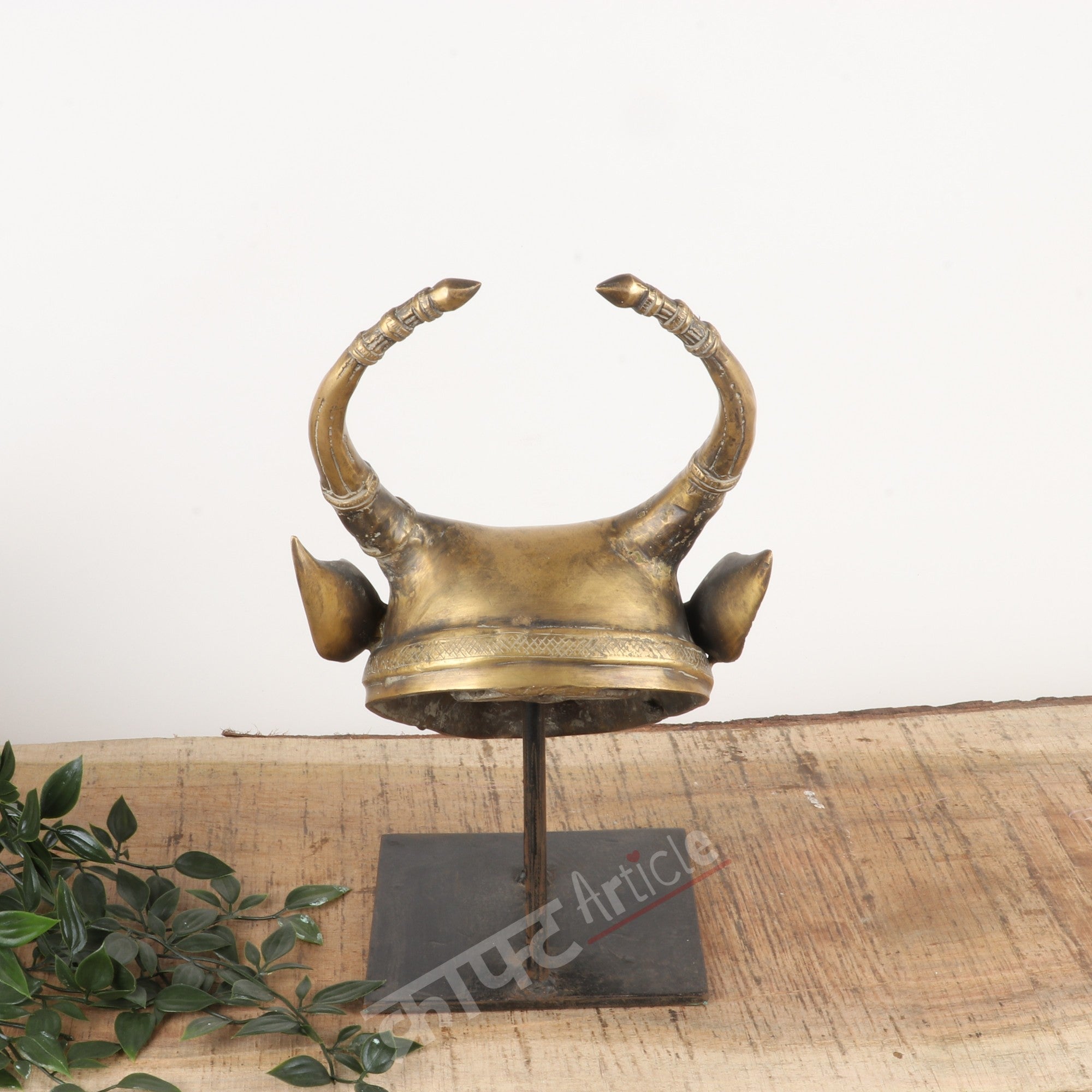 Brass Bull Head Wall Accents