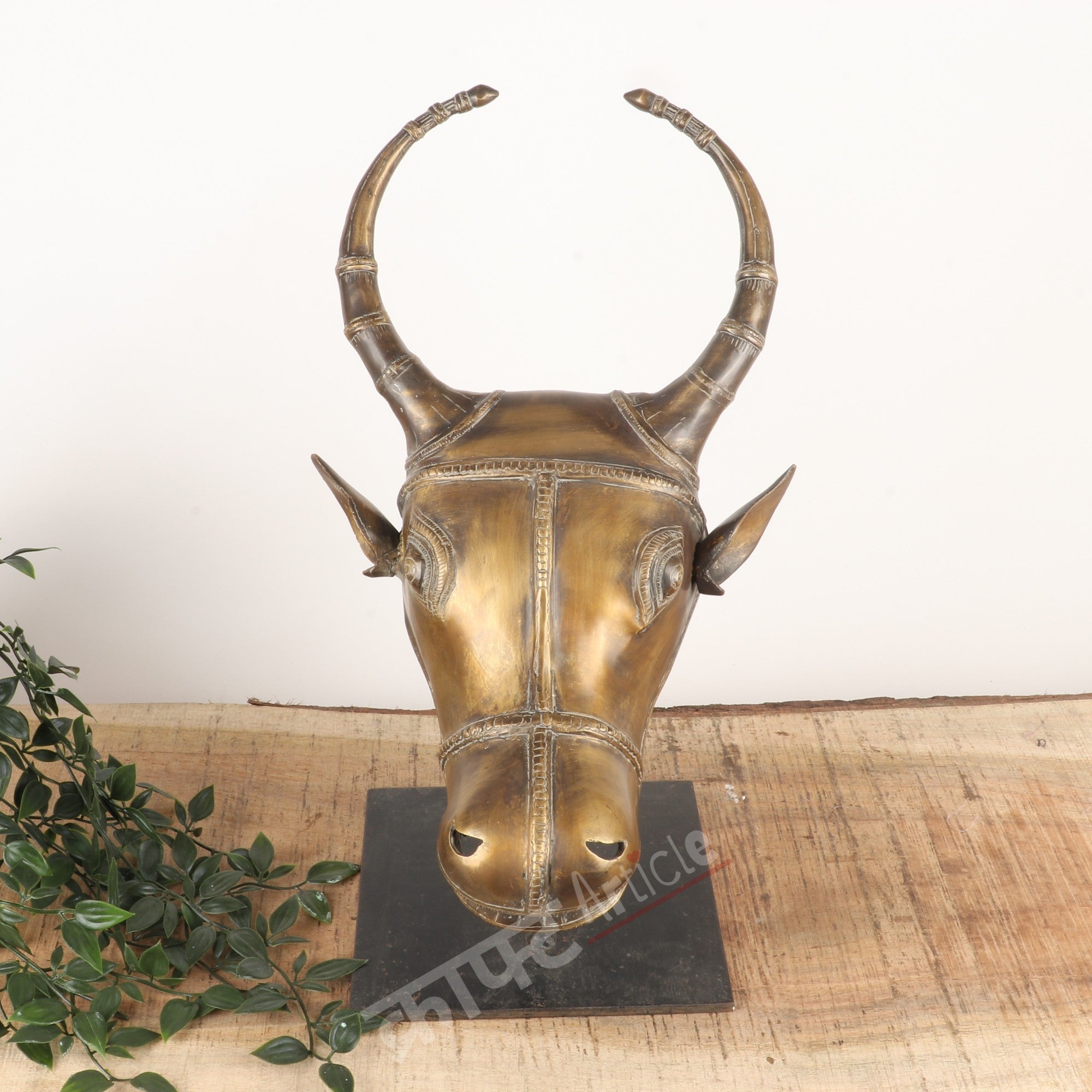Brass Vintage Bull Head Wall Accents