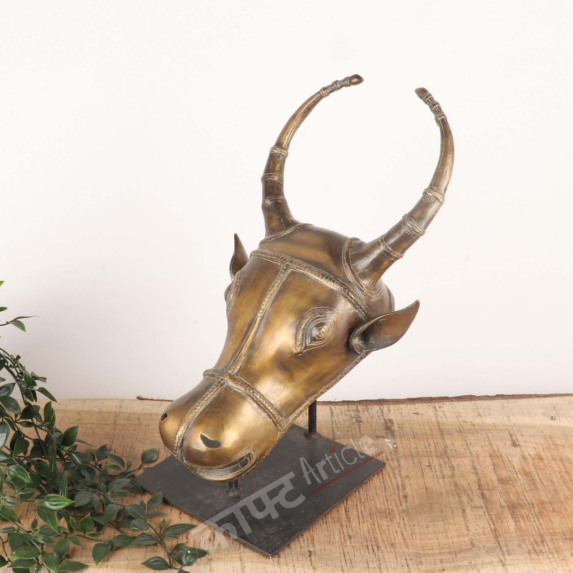 Brass Vintage Bull Head Wall Accents