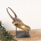 Brass Vintage Bull Head Wall Accents