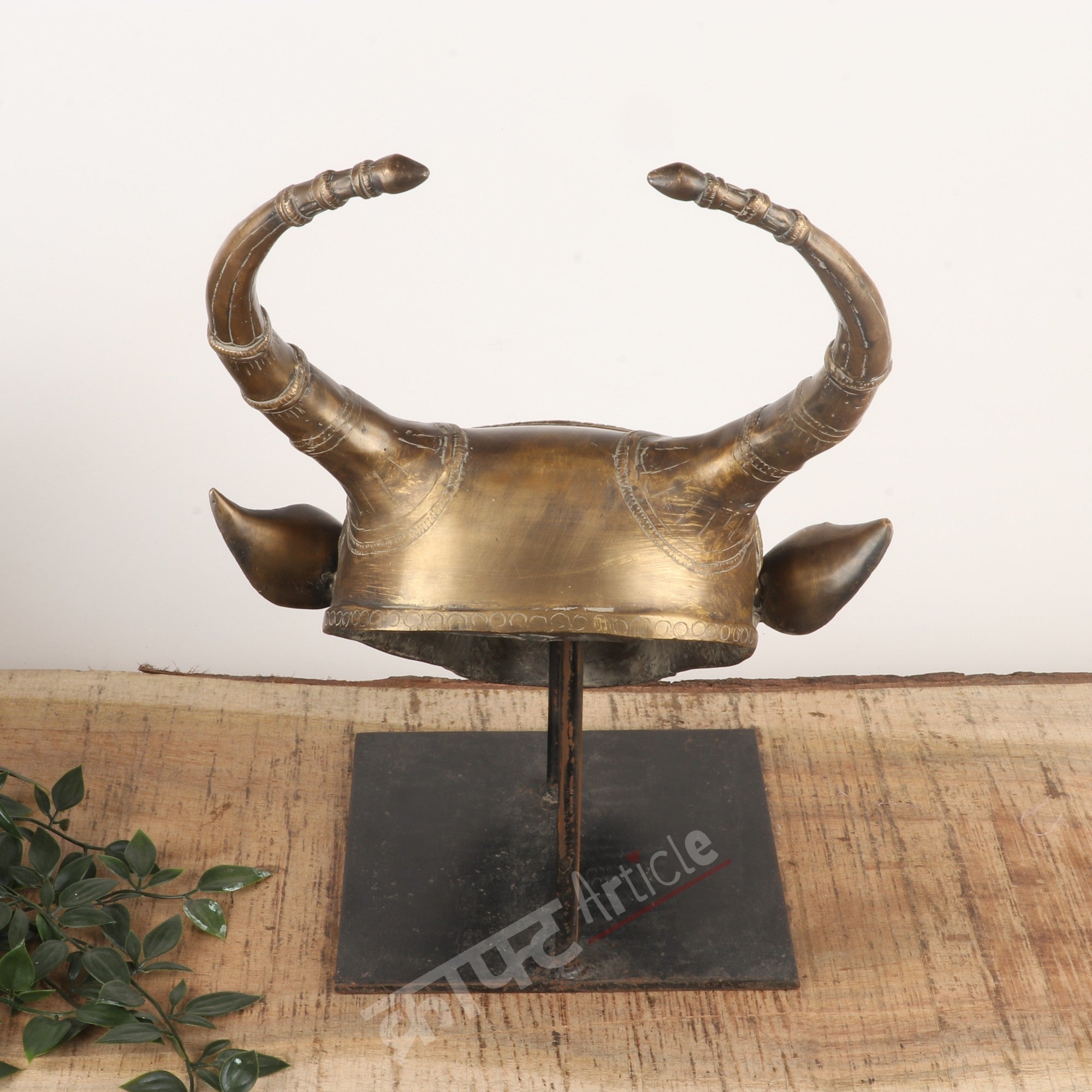 Brass Vintage Bull Head Wall Accents