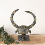 Brass Bull Head Wall Sculpture